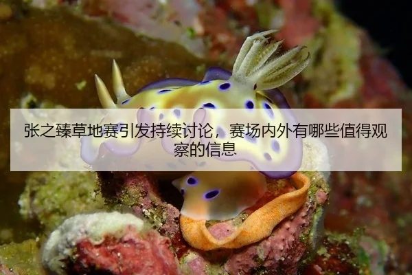 张之臻草地赛引发持续讨论，赛场内外有哪些值得观察的信息